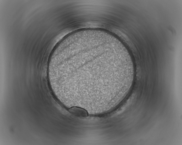 X0000111941081200909071255
