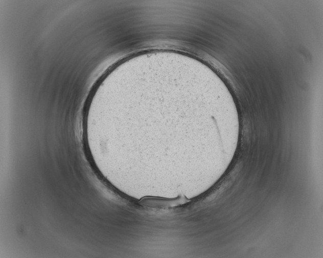 X0000111941082200909071255