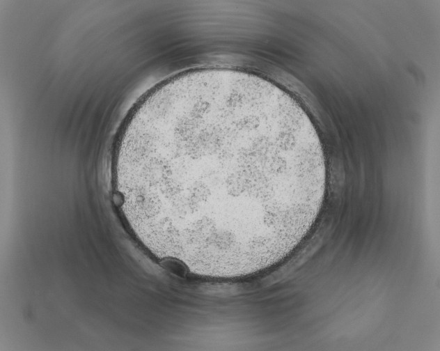 X0000111941083200909071255