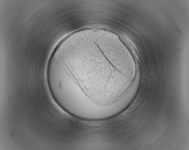 X0000111941084200909071255