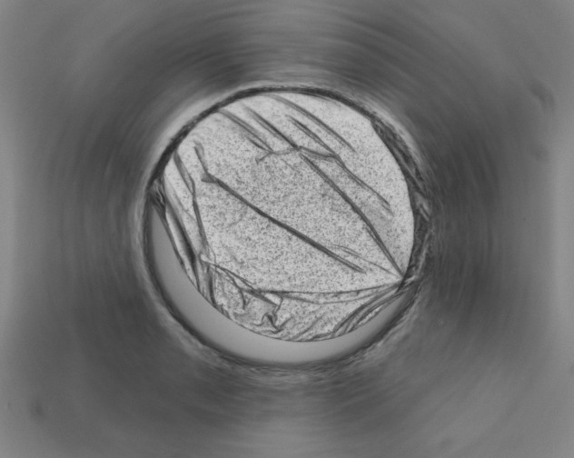 X0000111941085200909071255