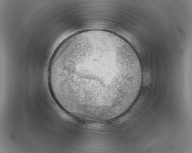 X0000111941086200909071255