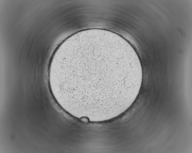 X0000111941088200909071254