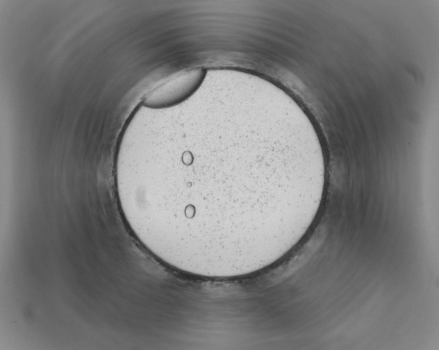 X0000111941089200909071254