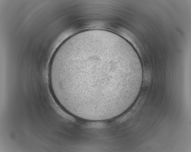 X0000111941090200909071254