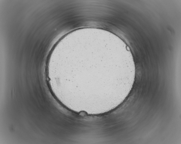 X0000111941091200909071254
