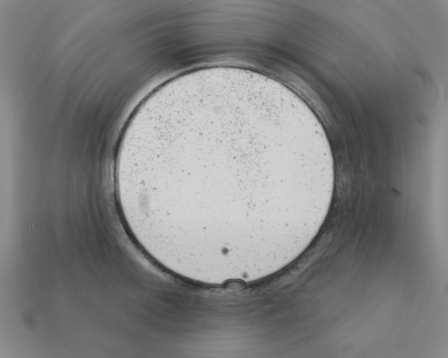 X0000111941092200909071254