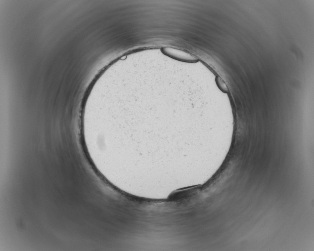 X0000111941093200909071254