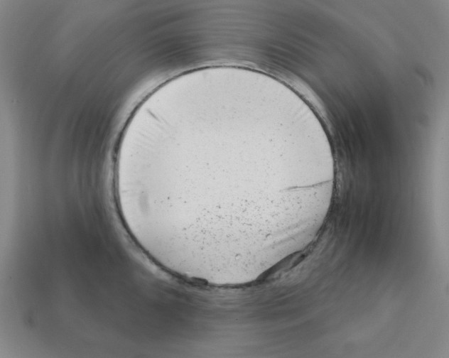 X0000111941096200909071254