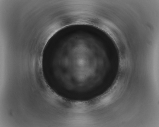 X0000111941097200909071254