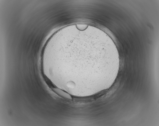 X0000111941099200909071254