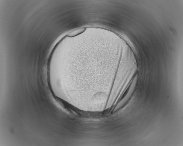 X0000111941100200909071254