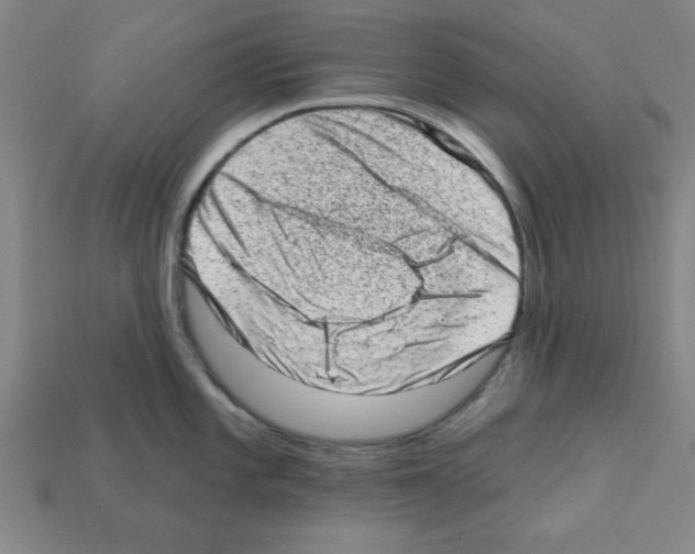 X0000111941101200909071254