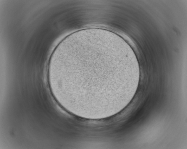 X0000111941102200909071254