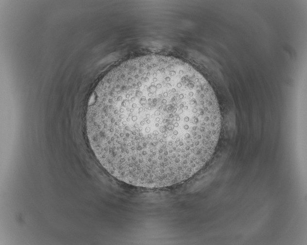 X0000111941105200909071253