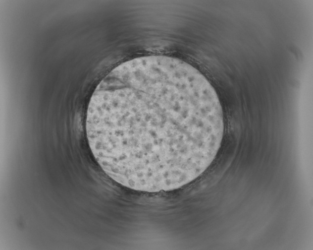 X0000111941106200909071254