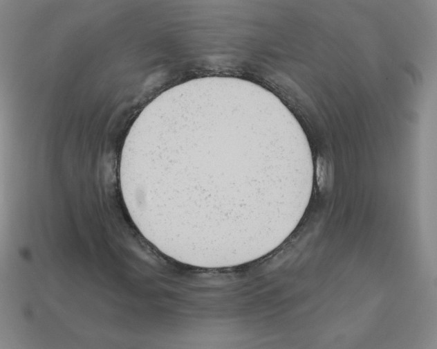 X0000111941107200909071254