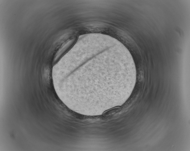 X0000111941108200909071254