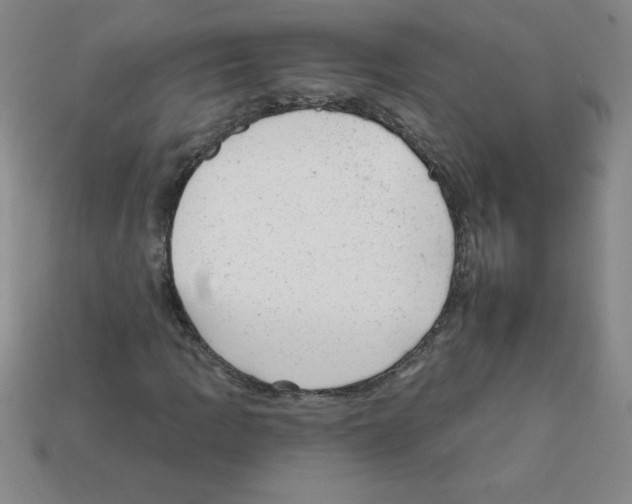 X0000111941109200909071254