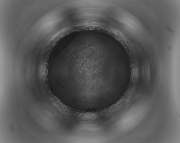 X0000111941110200909071254