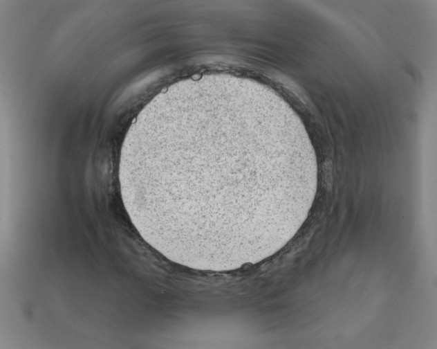 X0000111941111200909071254