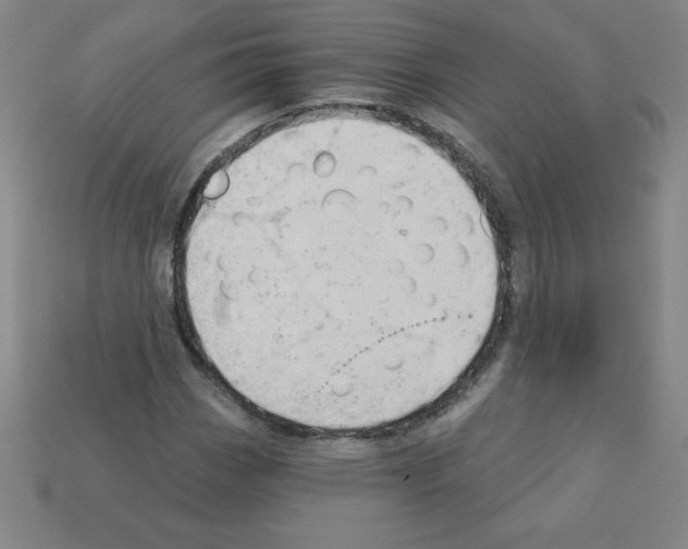 X0000111941113200909071254