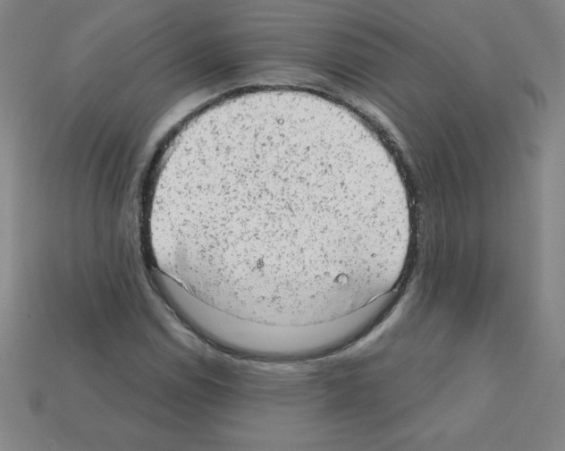 X0000111941114200909071254