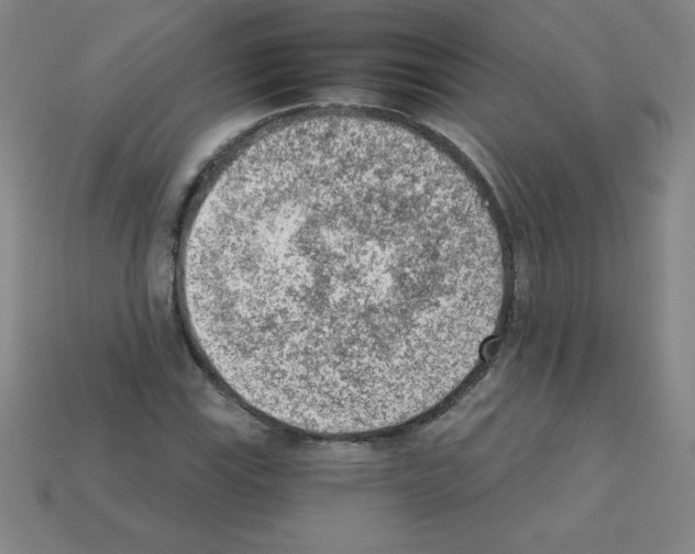 X0000111941115200909071254