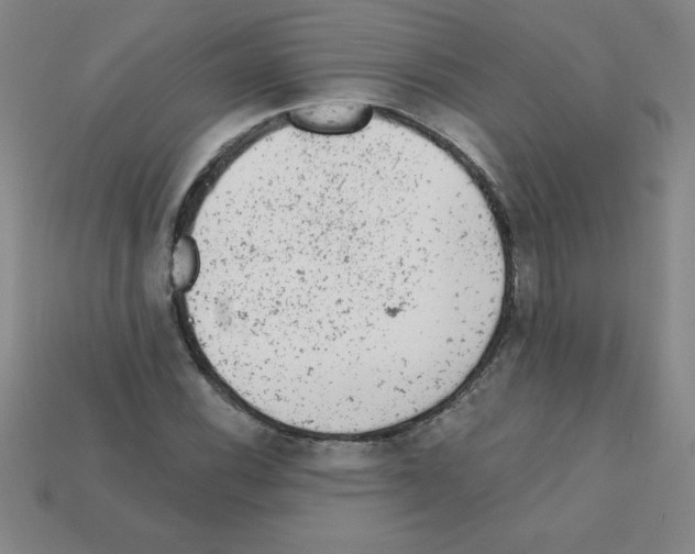 X0000111941116200909071254