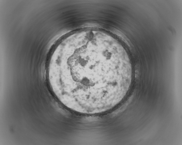 X0000111941117200909071254