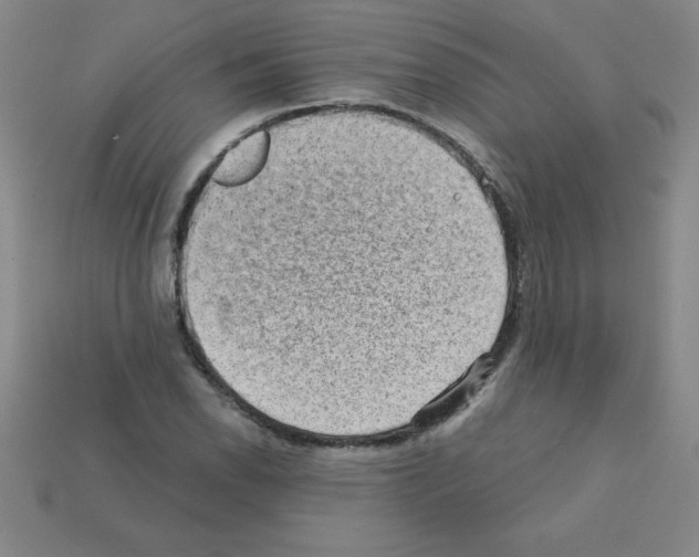 X0000111941118200909071254