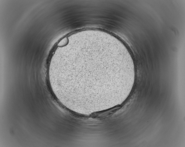 X0000111941119200909071254