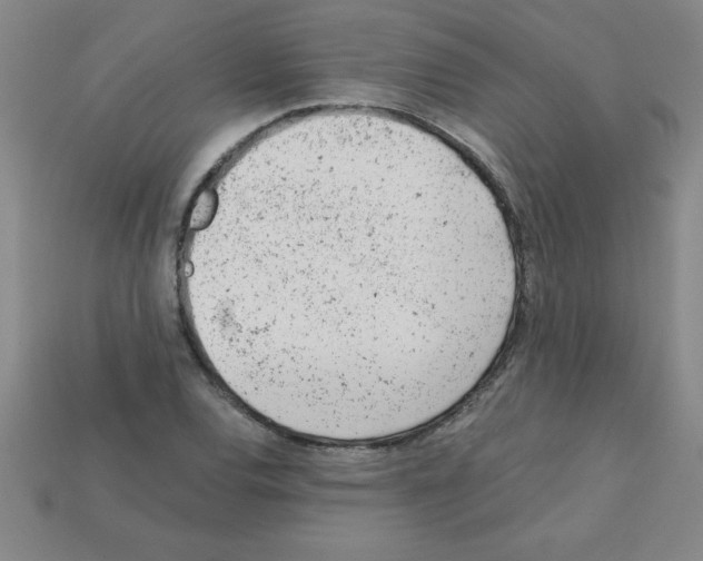 X0000111941120200909071254