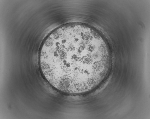 X0000111941121200909071254