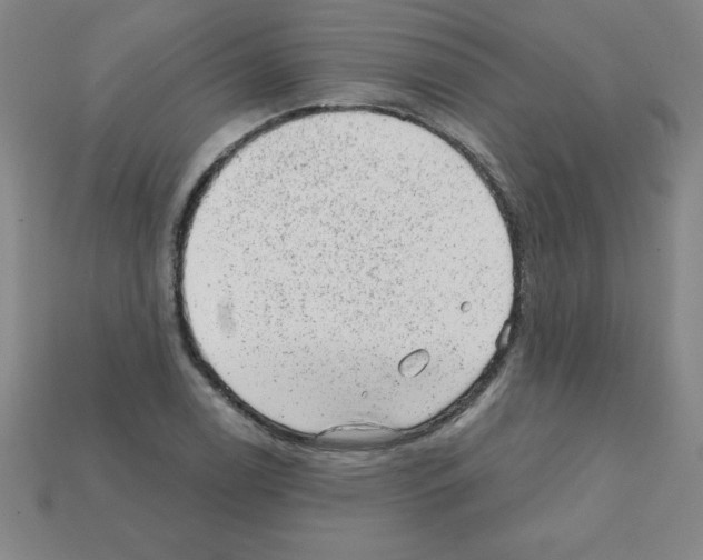 X0000111941122200909071254