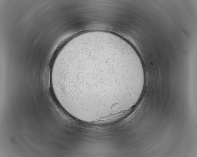 X0000111941123200909071254