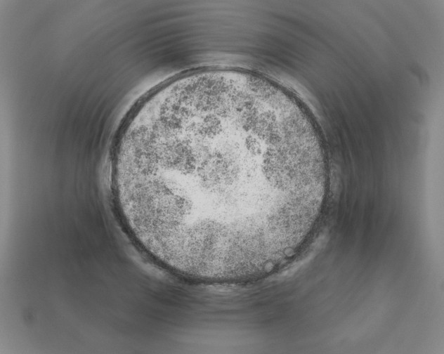 X0000111941125200909071254