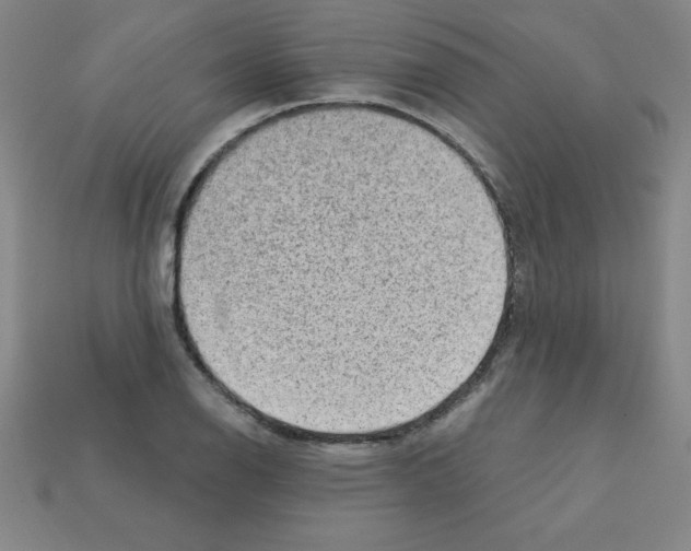 X0000111941126200909071254
