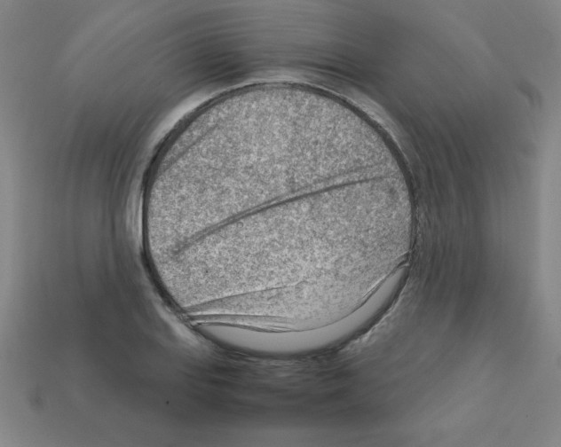 X0000111941127200909071254
