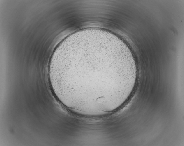 X0000111941129200909071254