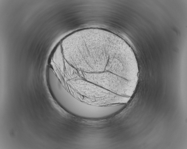 X0000111941132200909071254