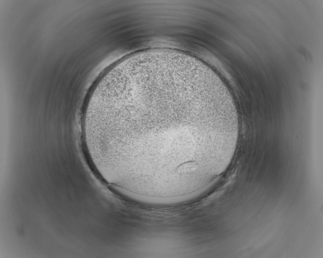 X0000111941133200909071254