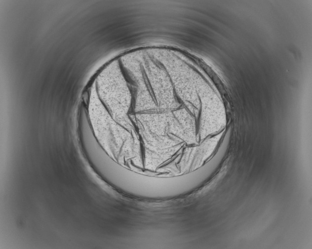 X0000111941134200909071254
