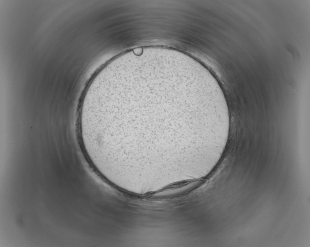 X0000111941135200909071254
