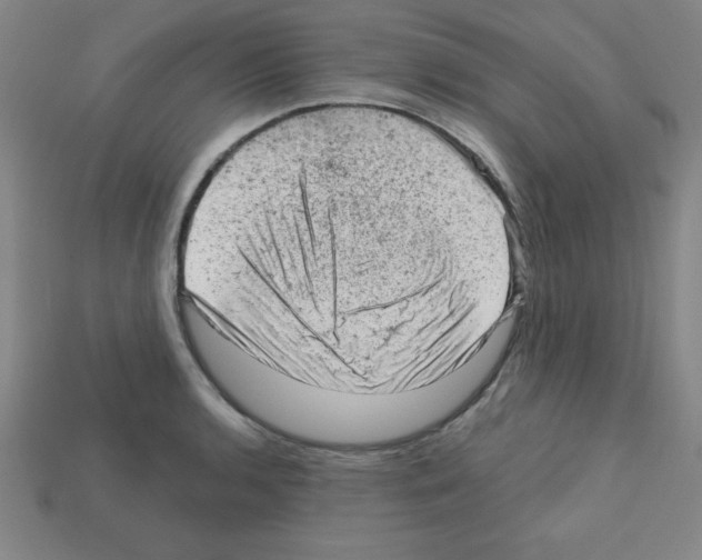 X0000111941136200909071254