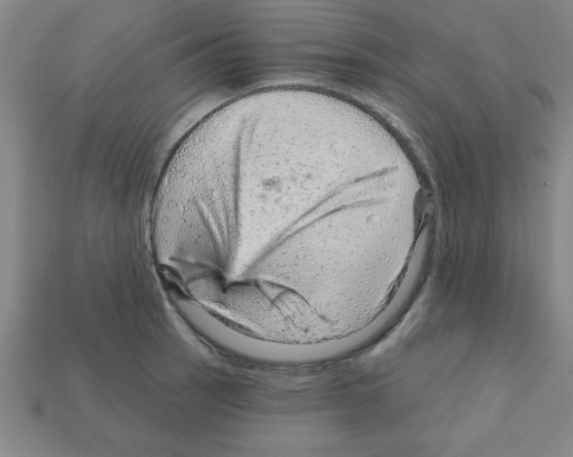 X0000111941137200909071254