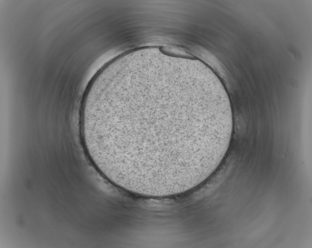X0000111941138200909071254