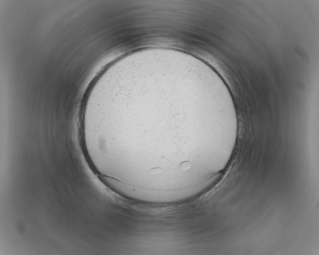X0000111941139200909071254