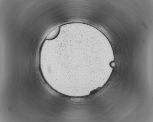 X0000111941140200909071254