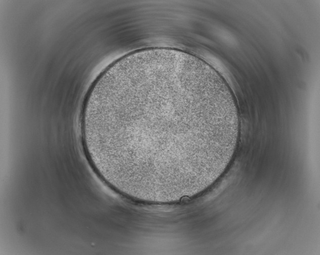 X0000111941141200909071254